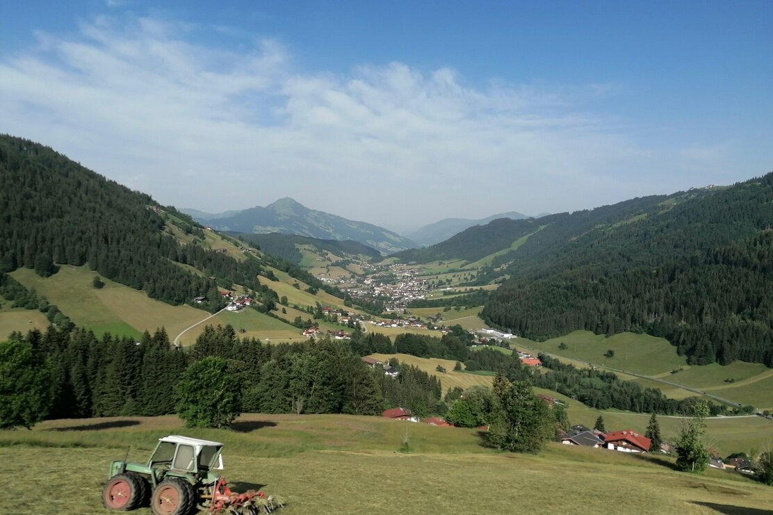 Wildschönau Tourismus Loya Aussicht Niederau Gewi.jpg | © Wildschönau Tourismus