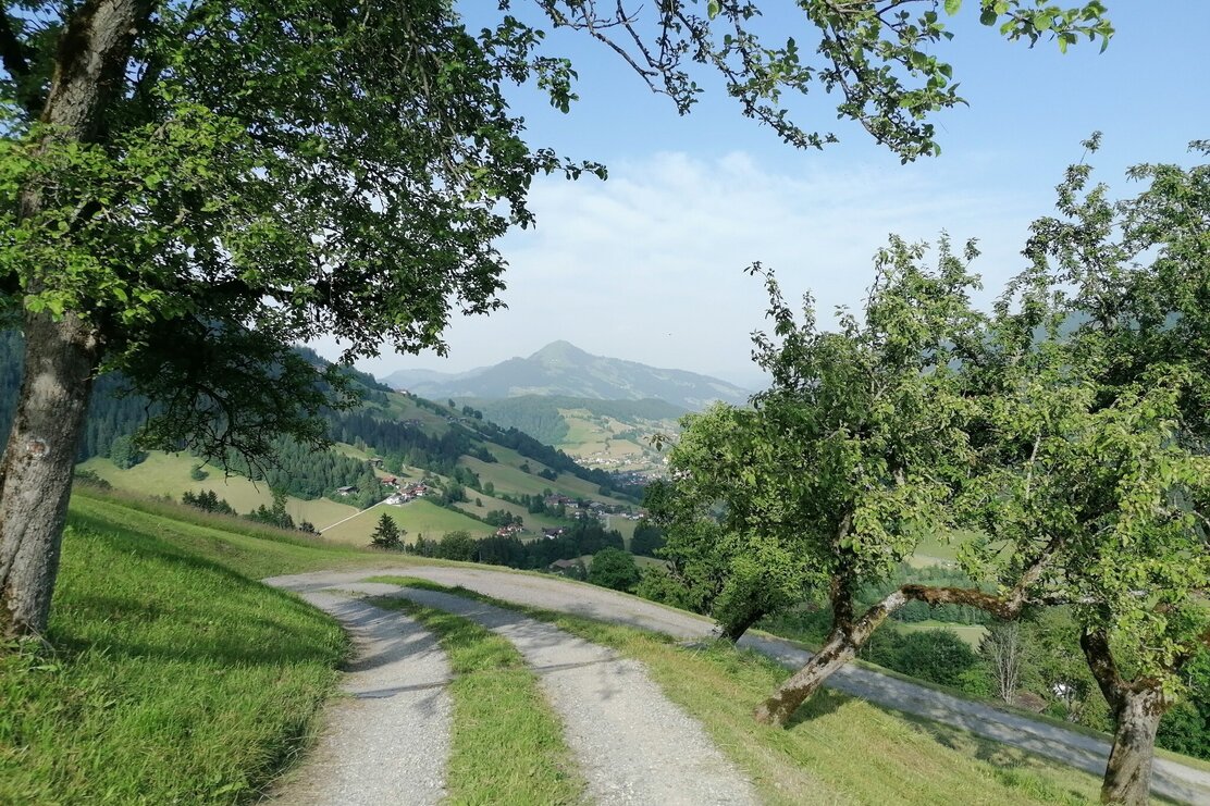 Loya Stube Weg Rg Oberau GeWi.jpg | © Wildschönau Tourismus