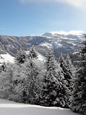 Adlerhorst Winter | © Wildschönau Tourismus Adlerhorst Winter | © Wildschönau Tourismus