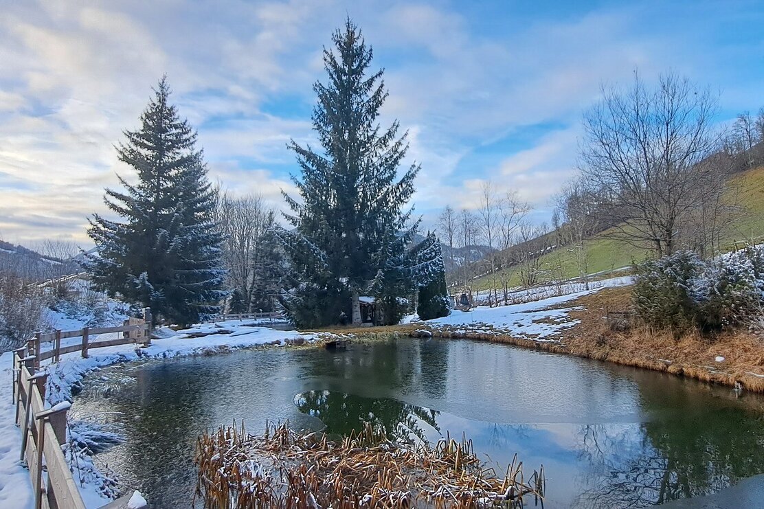 Wildschönau Niederau Auenweg Winter | © Wildschönau Tourismus Wildschönau Niederau Auenweg Winter | © Wildschönau Tourismus