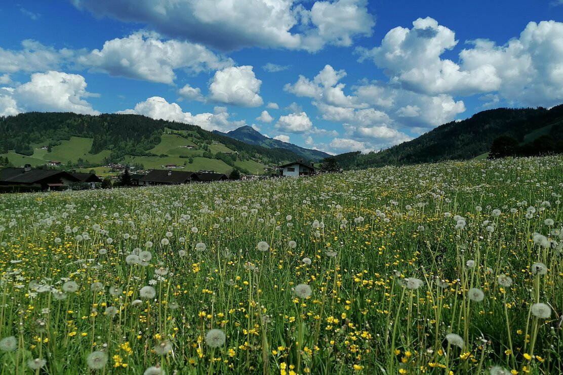 Wildschönau Auenweg | © Wildschönau Tourismus L. Gruber Wildschönau Auenweg | © Wildschönau Tourismus L. Gruber