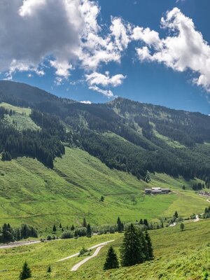 Schönangeralm Sommer FG Timeshot Rechte Wildschönau Tourismus (23).jpg | © Wildschönau Tourismus