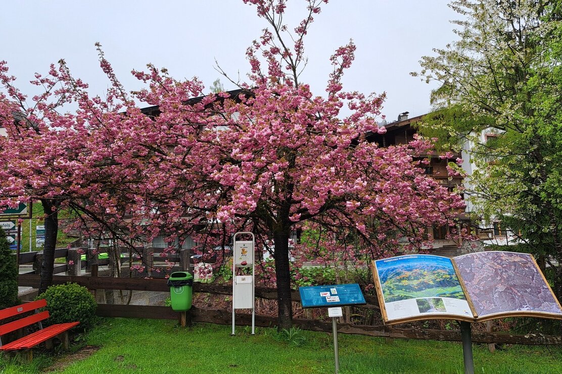 Wildschönau Mühltal Dorfrundweg | © Wildschönau Tourismus Wildschönau Mühltal Dorfrundweg | © Wildschönau Tourismus