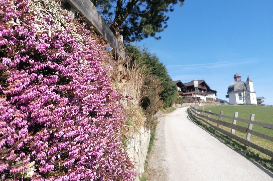 Wildschönau Oberau Richtung Antoniuskapelle | © Wildschönau Tourismus Wildschönau Oberau Richtung Antoniuskapelle | © Wildschönau Tourismus