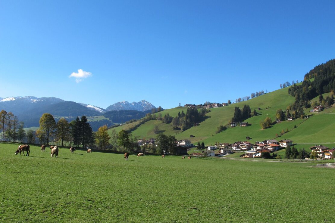 Herbststimmung Oberau Richtung Roggenboden mit Blick auf dien weißen Berge Schatzberg Wildschönau FG T.L. Rechte Wildschönau Tourismus (4).JPG | © Wildschönau Tourismus T. L. Herbststimmung Oberau Richtung Roggenboden mit Blick auf dien weißen Berge Schatzberg Wildschönau FG T.L. Rechte Wildschönau Tourismus (4).JPG | © Wildschönau Tourismus T. L.