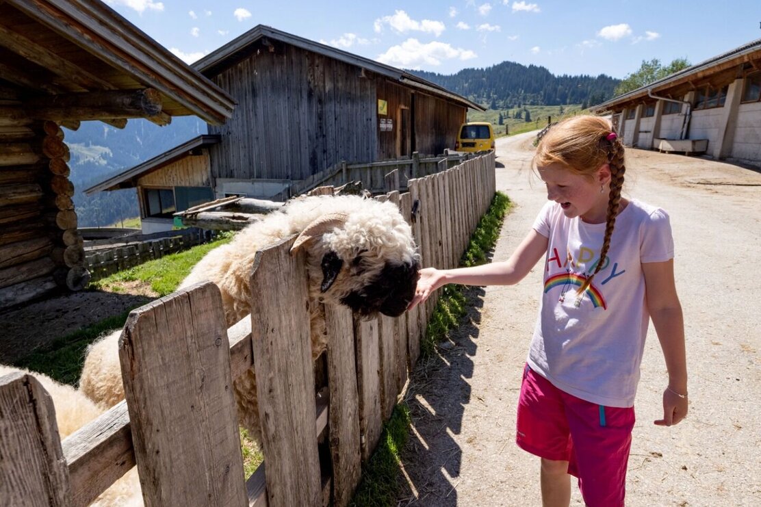 Wandern_und_Spielplaetze_Marbachjoch_Bergbahnen_Wildschoenau_08_2022_Dabernig_D_65.jpg | © Wildschönauer Bergbahnen Wandern_und_Spielplaetze_Marbachjoch_Bergbahnen_Wildschoenau_08_2022_Dabernig_D_65.jpg | © Wildschönauer Bergbahnen