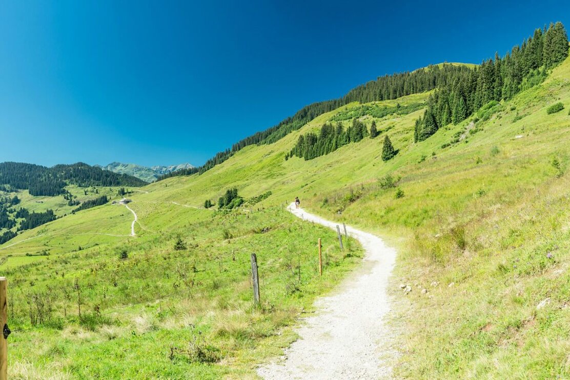 Holzalm Wildschönau  (1).jpg | © Wildschönau Tourismus Holzalm Wildschönau  (1).jpg | © Wildschönau Tourismus