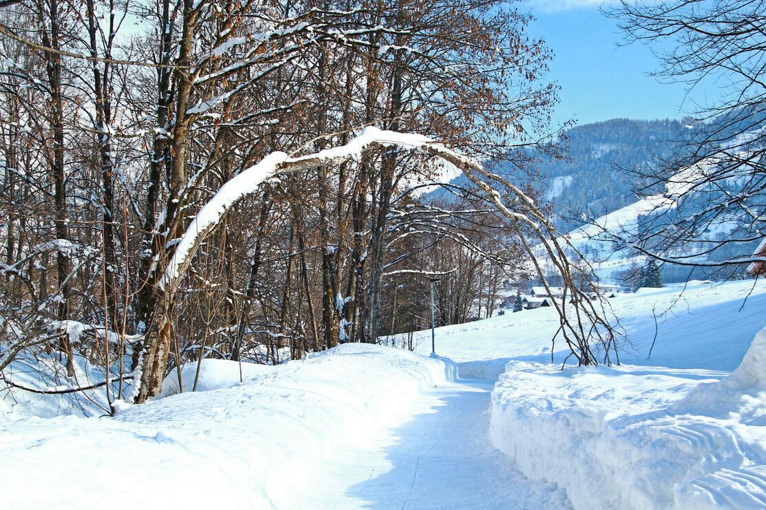 Wildschönau Franziskusweg | © Wildschönau Tourismus Wildschönau Franziskusweg | © Wildschönau Tourismus