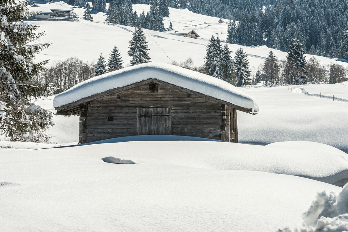 Schönanger Teich Wildschönau timeshot (1).jpg | © Wildschönau Tourismus