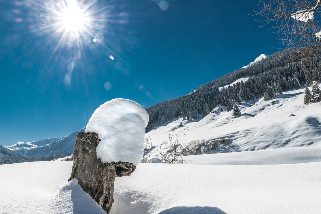 Schönanger Teich Wildschönau timeshot (6).jpg | © Wildschönau Tourismus