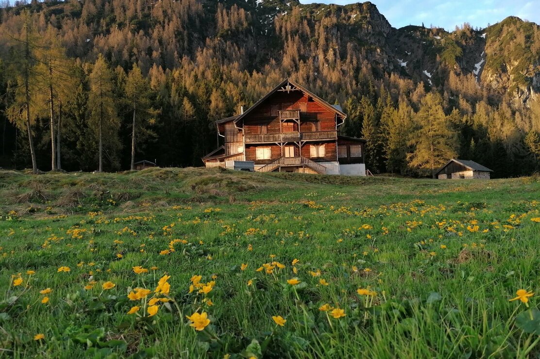 Holzalm Frühling.jpg | © Wildschönau Tourismus
