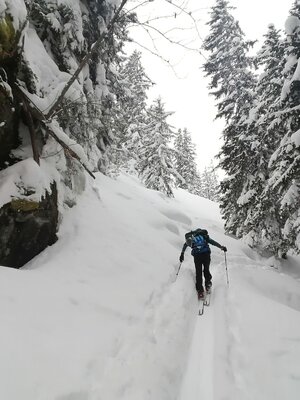 auf dem Kastensteig.jpg | © Wildschönau Tourismus