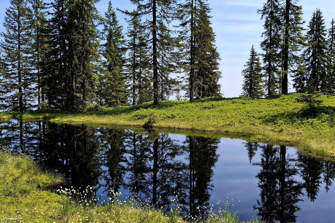Wildschönau Moorsee @ | © Wildschönau Tourismus