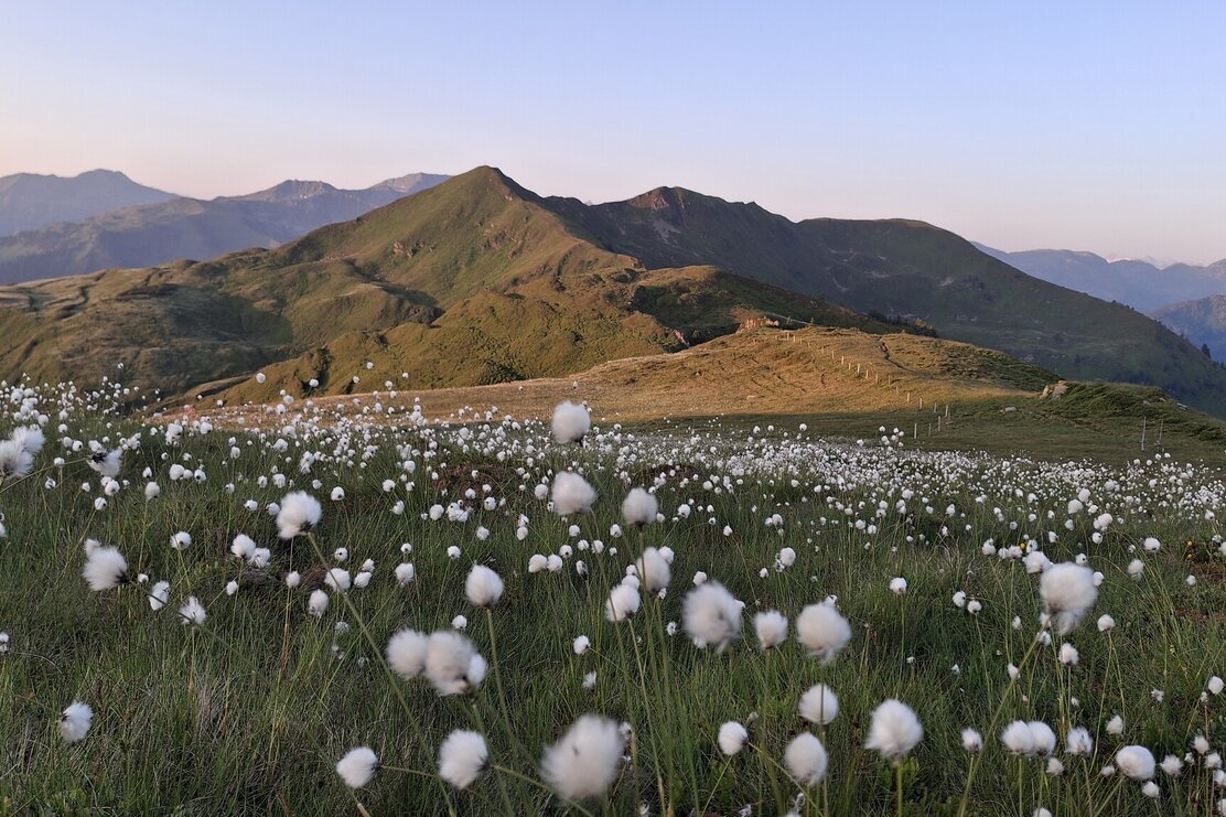 Wildschönau Feldalphorn @ | © Wildschönau Tourismus Gerlinde Wimmer