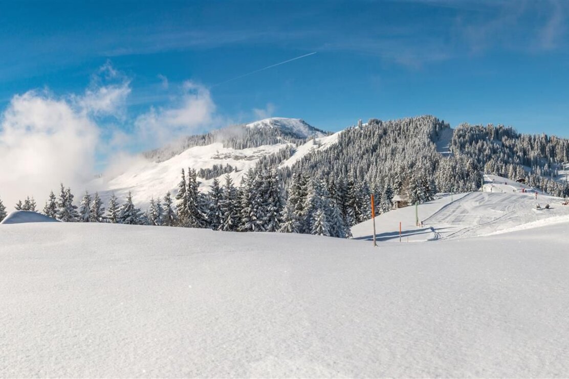 Wildschönau Niederau Markbachjoch | © Wildschönau Tourismus