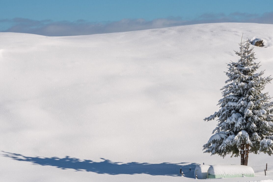 Wildschönau Niederau Markbachjoch | © Wildschönau Tourismus