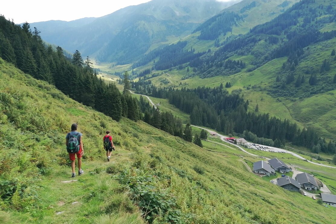 Wildschönau Schönanger Abstieg | © Wildschönau Tourismus
