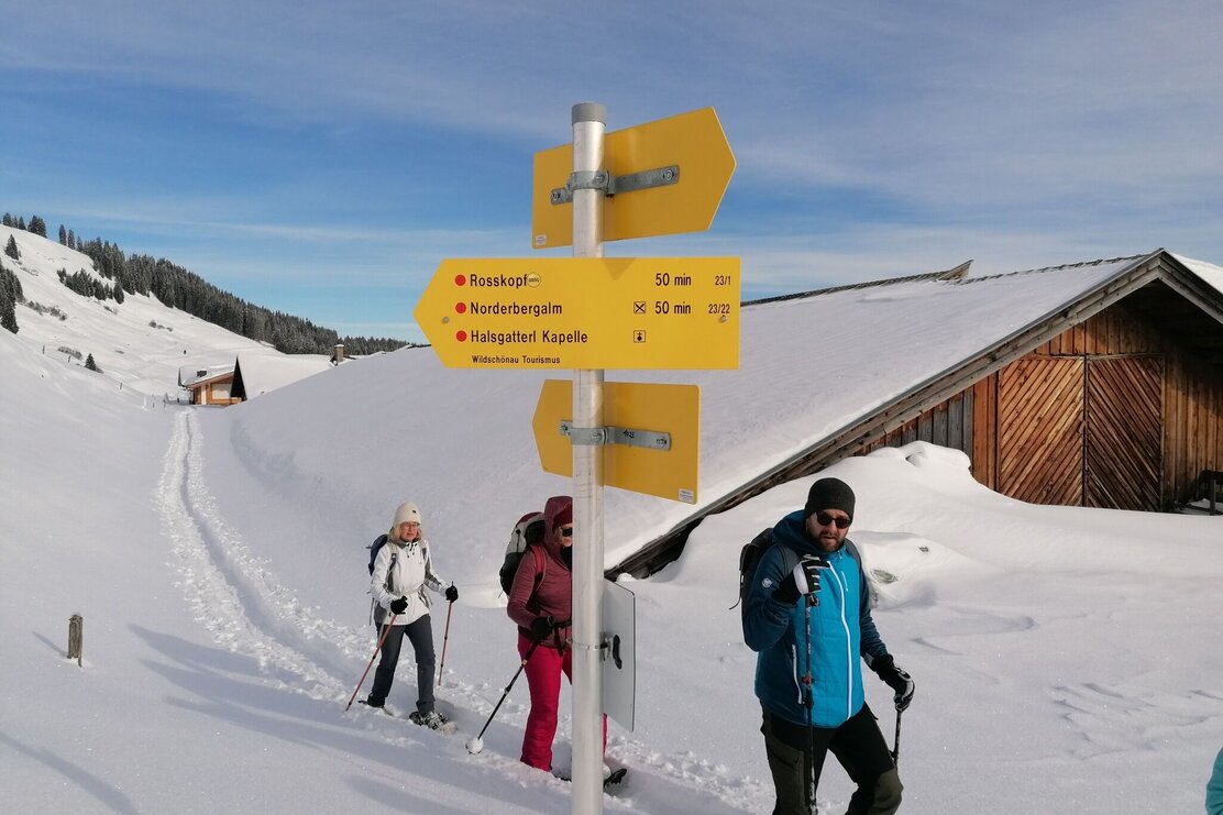 Wildschönau Holzalm Kasalm Schneeschuh Gruppe | © Wildschönau Tourismus