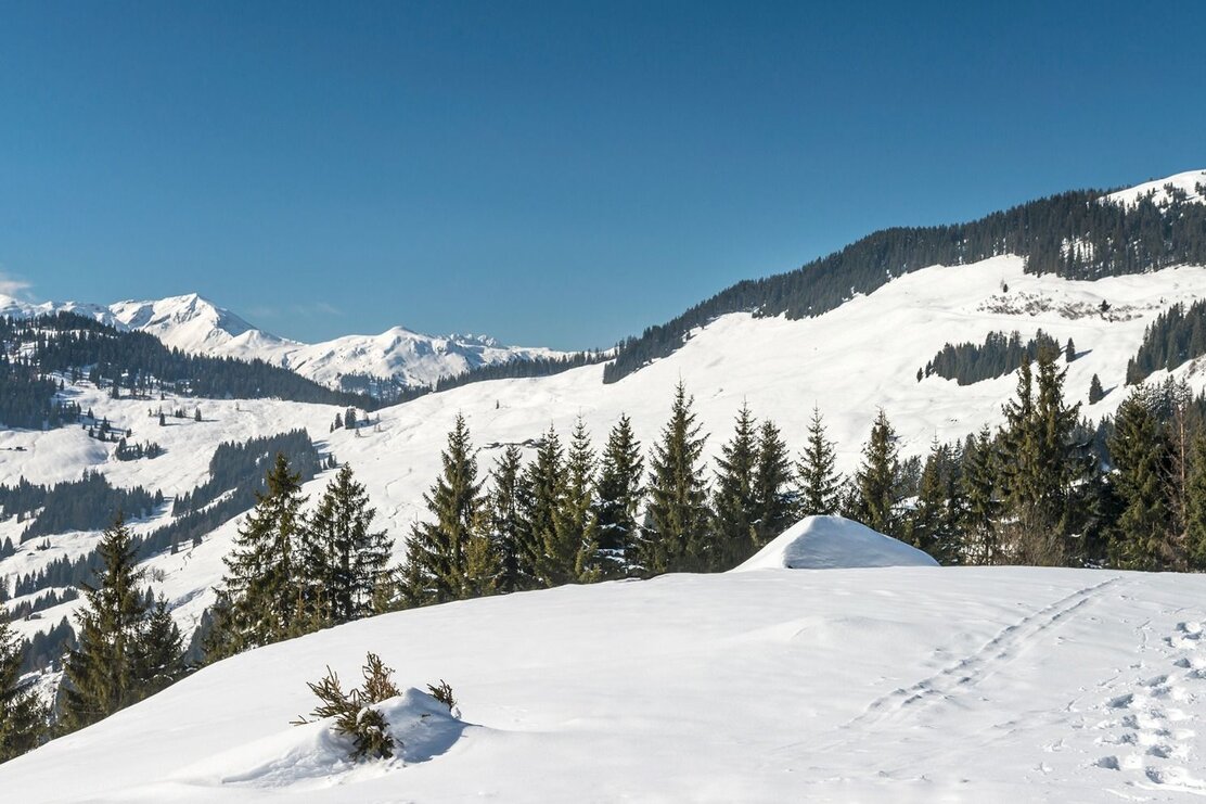 Wildschönau Markbachjoch Winter | © Tijmen Schuil