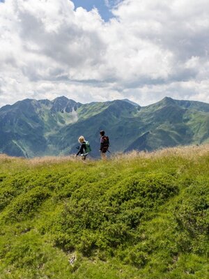 A Wandern_Sommer_TVB_Wildschoenau_07_2022_Dabernig_80.jpg | © Wildschönau Tourismus FG Hannes Dabernig