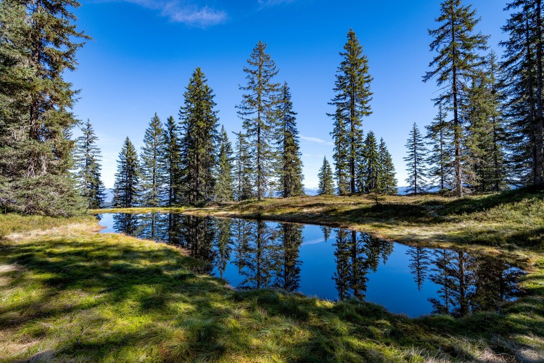 Höhenweg Wildschönau  Bergwandern Herbst Wildschönau Tourismus FG. H. Dabernig (55).jpg | © Wildschönau Tourismus H. Dabernig