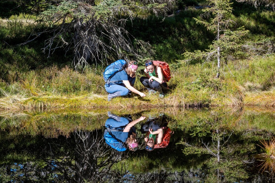 Höhenweg Wildschönau  Bergwandern Herbst Wildschönau Tourismus FG. H. Dabernig (52).jpg | © Wildschönau Tourismus H. Dabernig