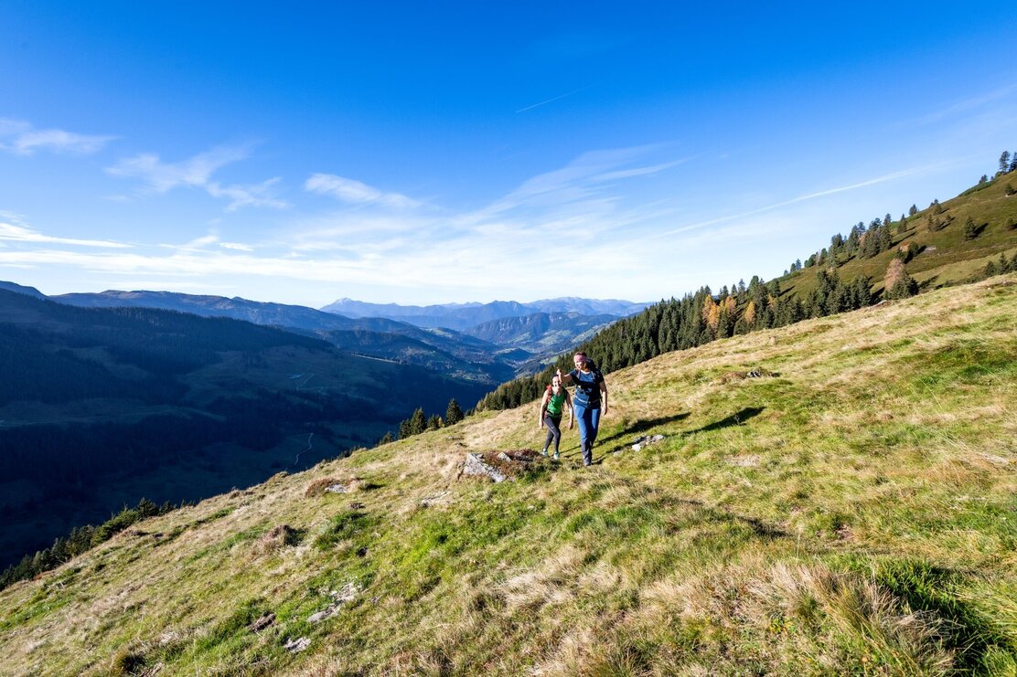 Höhenweg Wildschönau  Bergwandern Herbst Wildschönau Tourismus FG. H. Dabernig (128).jpg | © Wildschönau Tourismus H. Dabernig