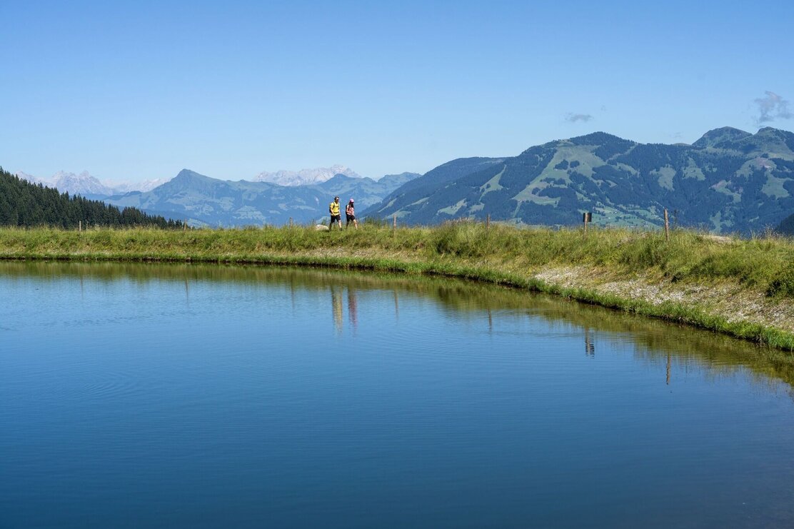 Wandern_Sommer_TVB_Wildschoenau_Dabernig_69.jpg | © Wildschönau Tourismus