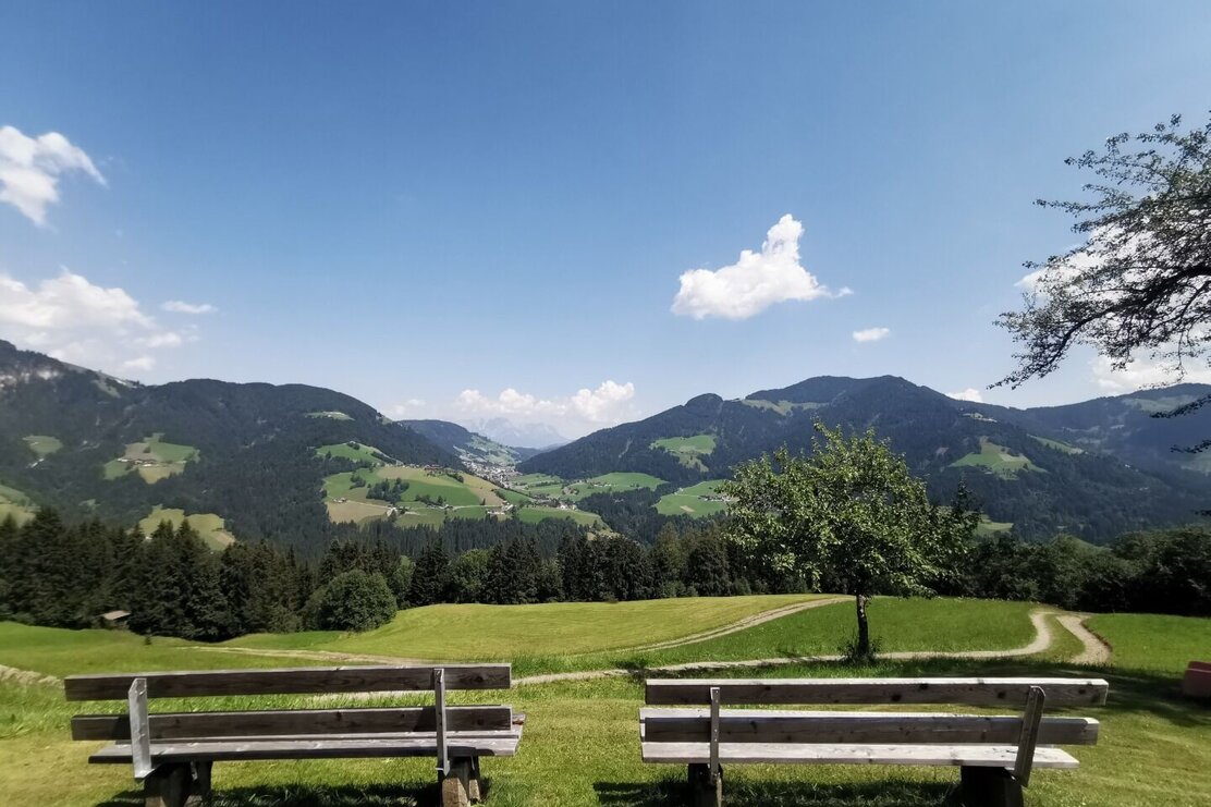 Wildschönau Thierbach Hörbighof | © Wildschönau Tourismus