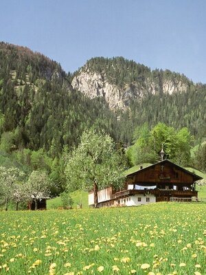 Bauernhof Ebersau Mühltal Frühling Wildschönau  Rechte Wildschönau Tourismus (1).jpg | © Wildschönau Tourismus
