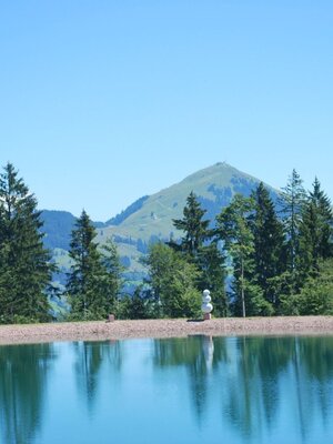 Kunst am Berg 2010 052.jpg | © Wildschönau Tourismus