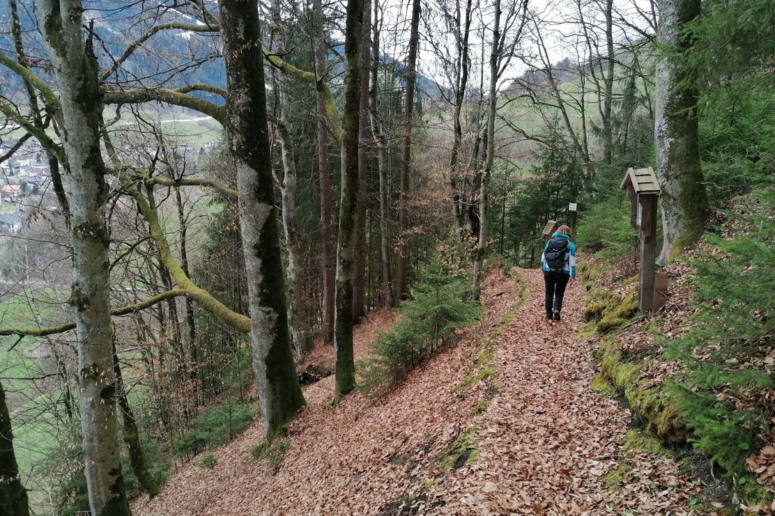 Wildschönau Niederau Burgstall Weg.jpg | © Wildschönau Tourismus Wildschönau Niederau Burgstall Weg.jpg | © Wildschönau Tourismus