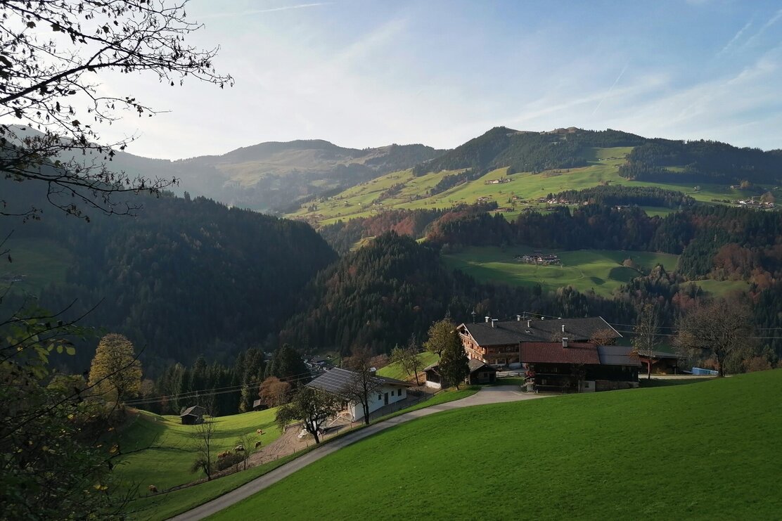Wildschönau Tourismus Glantersberg Gewi.jpg