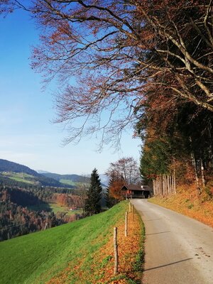Wildschönau Tourismus Glantersberg Straße Gewi.jpg