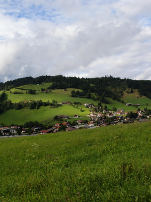 Waldrandweg Niederau | © Wildschönau Tourismus