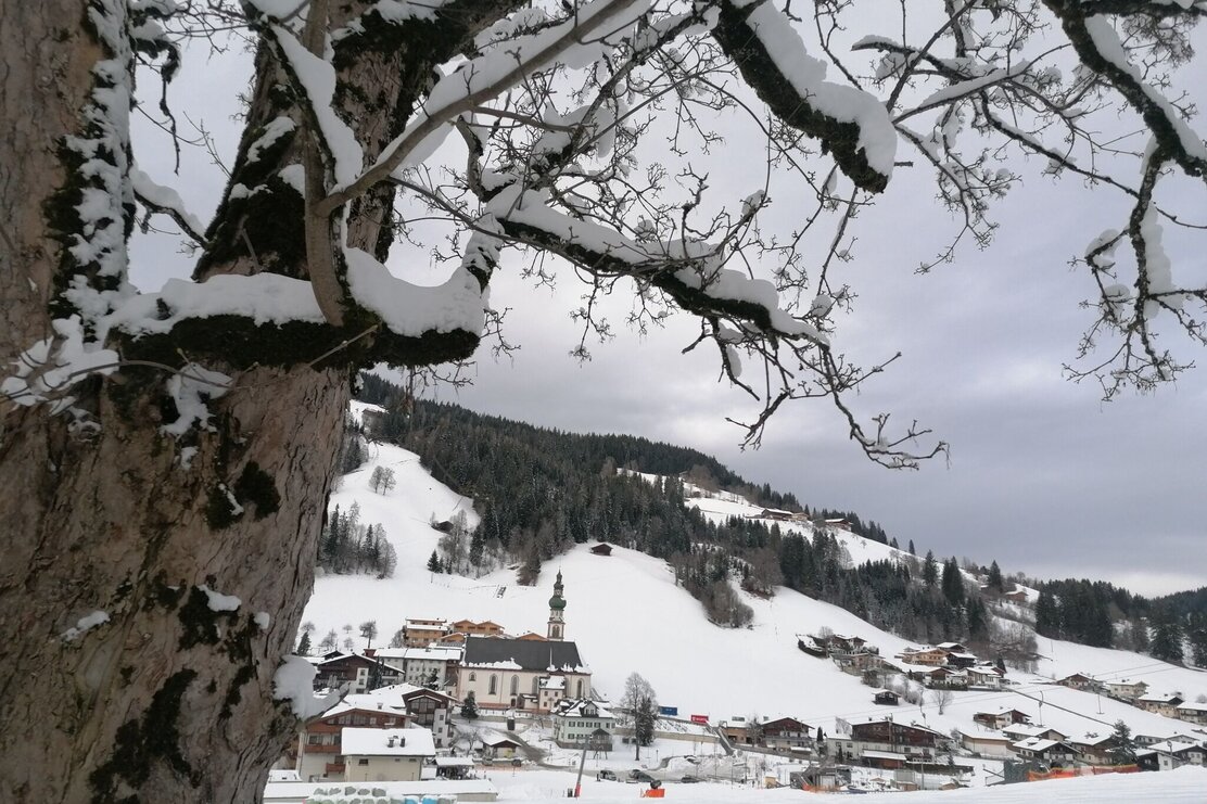 Wildschönau Oberau Waldrandweg | © Wildschönau Tourismus Wildschönau Oberau Waldrandweg | © Wildschönau Tourismus