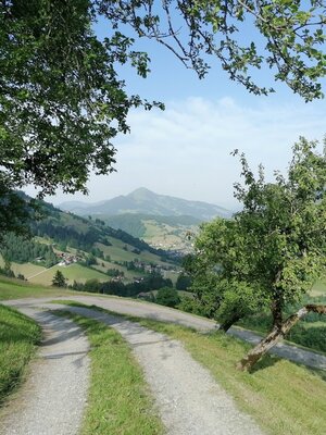 Loya Stube Weg Rg Oberau GeWi.jpg | © Wildschönau Tourismus