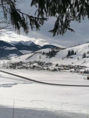 Aussicht Wiesen (2).jpg | © Wildschönau Tourismus