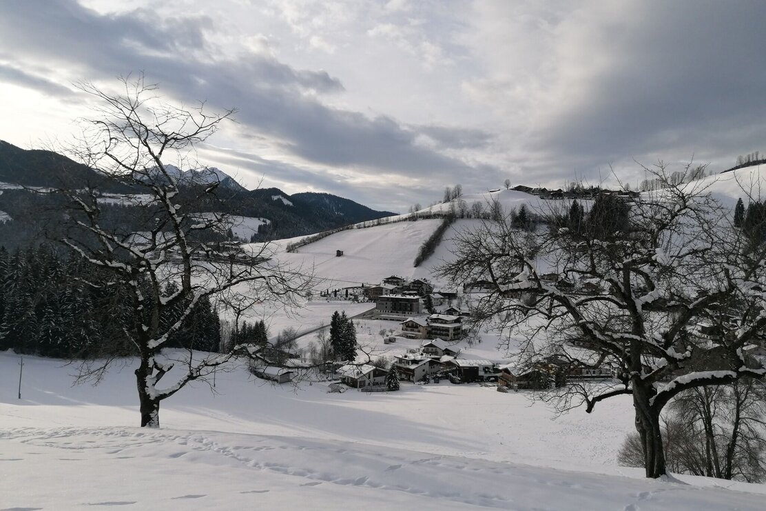 Wildschönau Oberau Waldrandweg.jpg | © Wildschönau Tourismus