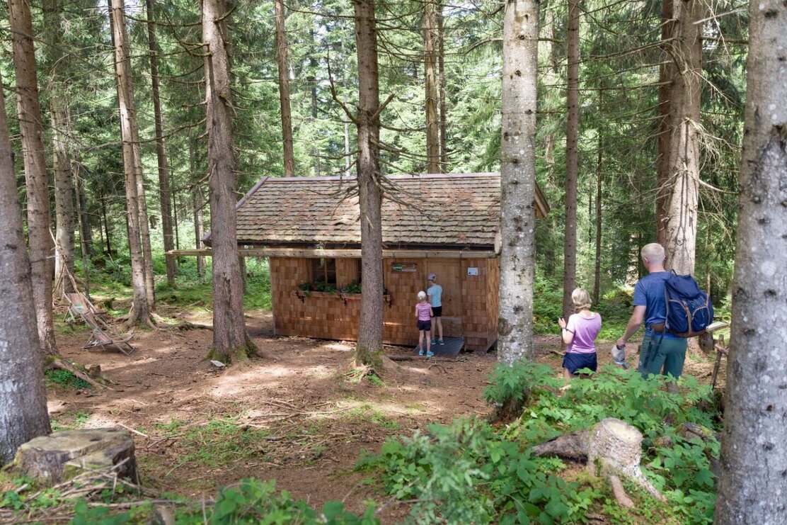 Wandern_Familie_TVB_Wildschoenau_07_2022_Dabernig_54.jpg | © Wildschönau Tourismus Wandern_Familie_TVB_Wildschoenau_07_2022_Dabernig_54.jpg | © Wildschönau Tourismus