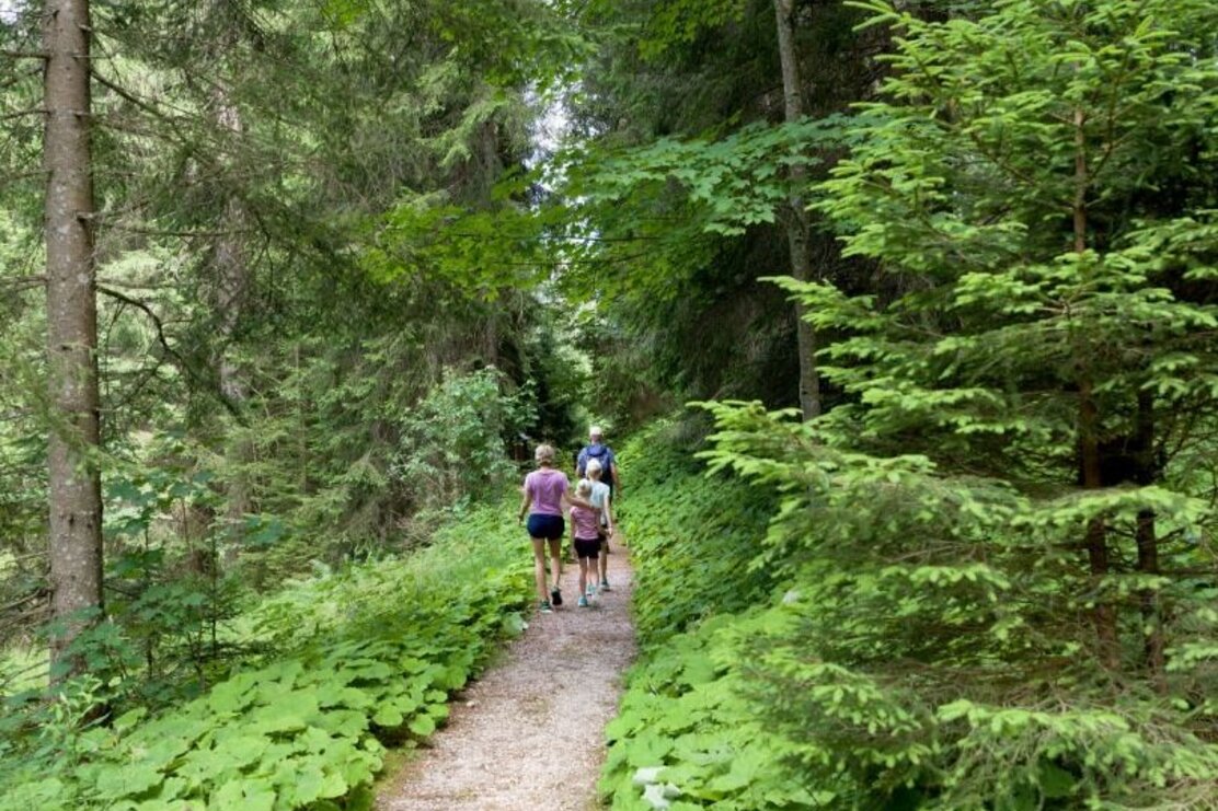 Wandern_Familie_TVB_Wildschoenau_07_2022_Dabernig_94.jpg | © Wildschönau Tourismus Wandern_Familie_TVB_Wildschoenau_07_2022_Dabernig_94.jpg | © Wildschönau Tourismus