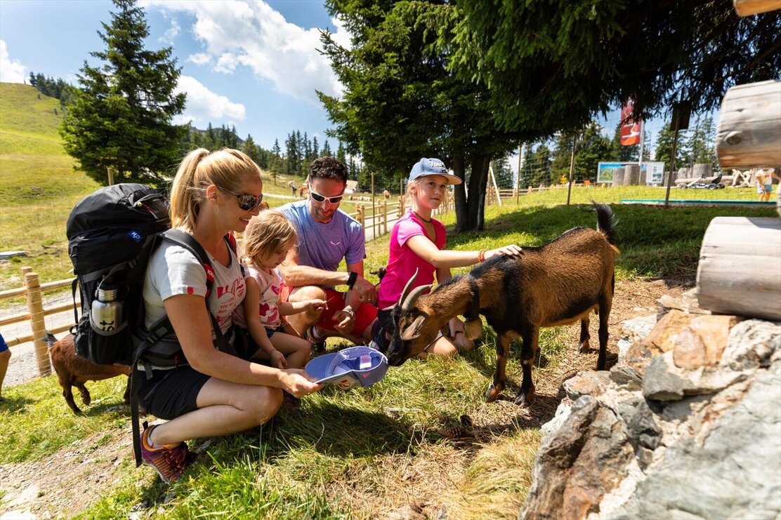 Wildschönau Skijuwel Familienwandern | © Wildschönau Tourismus J. Sautner