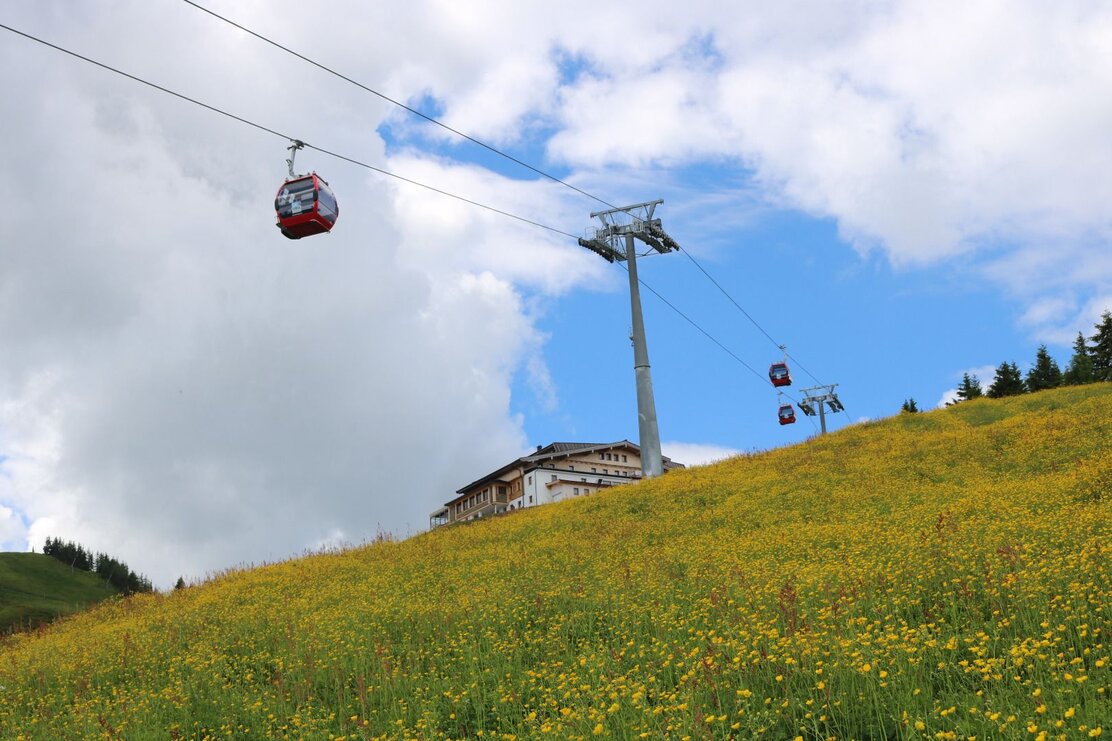 Wildschönau Auffach Schatzberg T. Lerch | © Wildschönau Tourismus