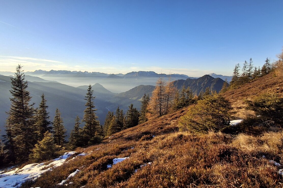 20251110_160727.jpg | © Wildschönau Tourismus