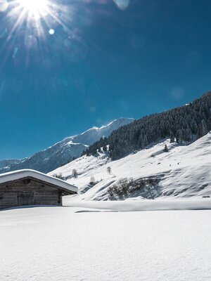 Schönanger Teich Wildschönau timeshot (2).jpg | © Wildschönau Tourismus