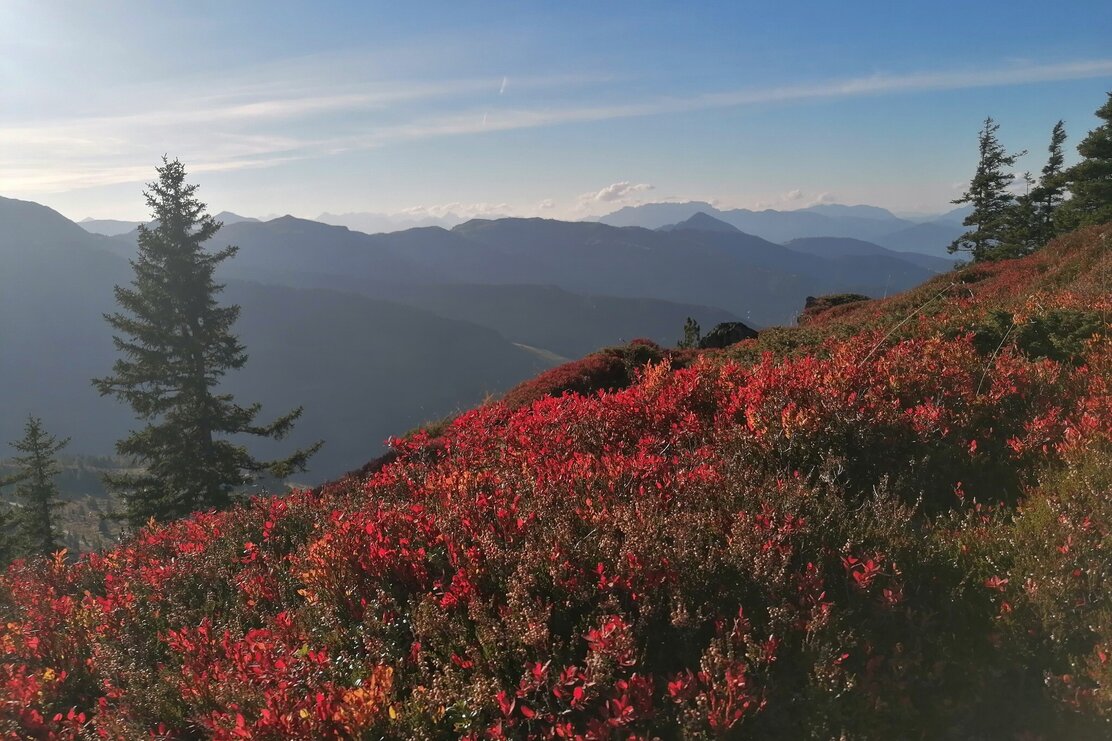 Wildschönau Höhenweg.jpg | © Wildschönau Tourismus