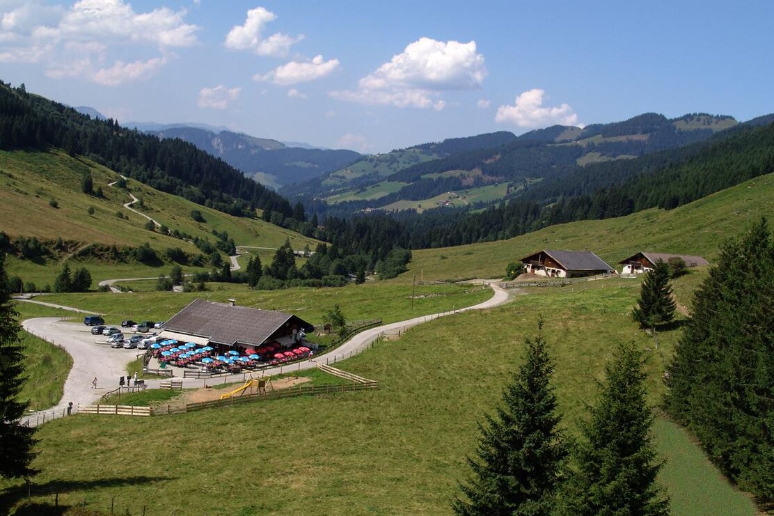 Wildschönau Schönangeralm | © Wildschönau Tourismus