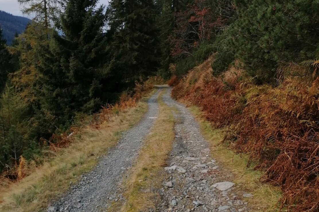 Wildschönau Auffach Siedljoch Straße.jpg | © Wildschönau Tourismus