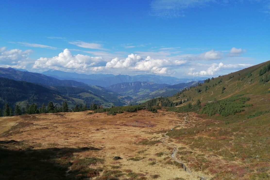 weite Flächen unter der Breiteggspitze.jpg | © Wildschönau Tourismus