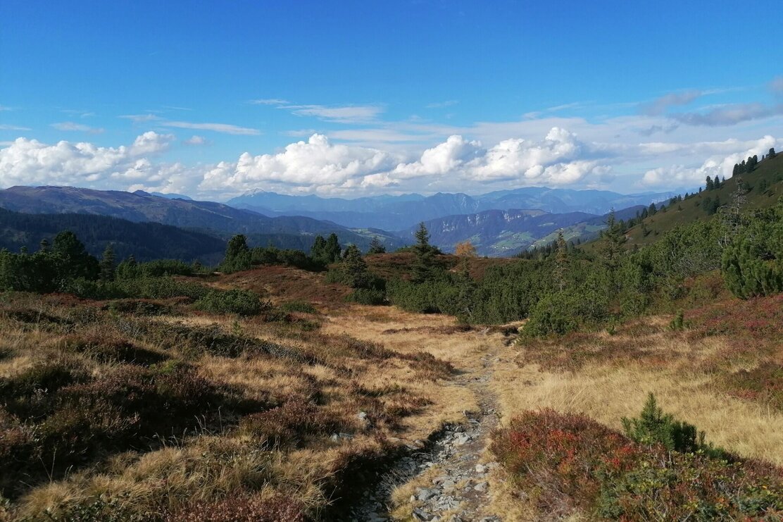 Blick in die Wilschönau Rg Breiteggspitze GW.jpg | © Wildschönau Tourismus